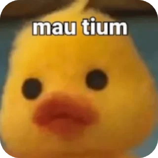 🧸 emoji pnya iyel jngn colong!! Telegram sticker 3 of 44