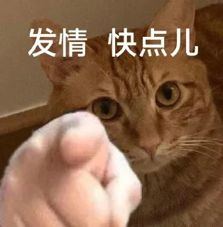 Sticker from 轻m文爱 @yytxtl