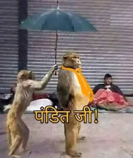 ☂️ emoji भौकाल 😎 - @Wickers Telegram sticker 7 of 120