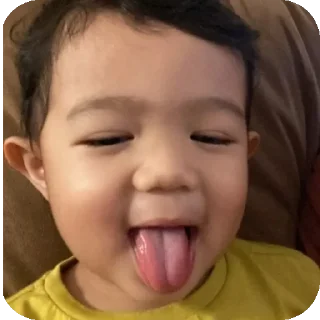 👤 emoji setikerr punya dapa Telegram sticker 5 of 22