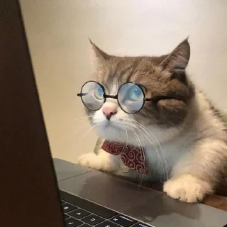 😾 emoji Jangan lupa senyum :) Telegram sticker 11 of 28