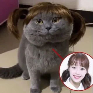 😁 emoji chuu ril - @miekae1 Telegram sticker 24 of 56
