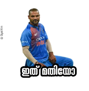 🤜 emoji @IPLFansKerala India 🇮🇳 Pack Telegram sticker 8 of 8