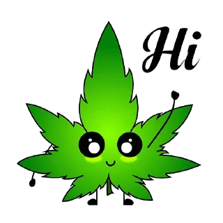Sticker from Mister Weed