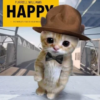 🐱 emoji dudul tercinta Telegram sticker 10 of 24