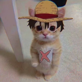 🐱 emoji dudul | @tikeltikelimued Telegram sticker 6 of 19