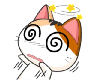 🐈 emoji cheerful kitten w/@sugarcunt Telegram sticker 17 of 120
