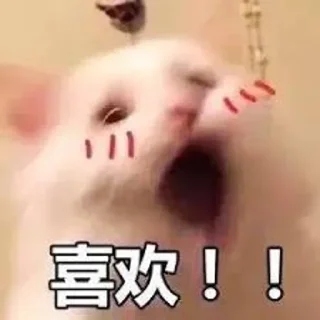 ❤️ emoji 小网警的喵喵 Telegram sticker 16 of 78