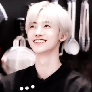 🍞 emoji ㅤ ★ ، na jaemin @DIARYMONCHYZ Telegram sticker 5 of 75