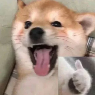 👍 emoji CC的表情包 Telegram sticker 17 of 23