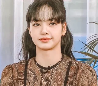 ☺️ emoji BLACKPINK Telegram sticker 19 of 20