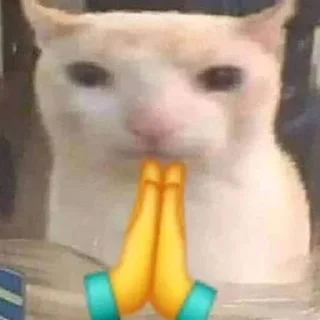 🙏 emoji vro pabji mobayl fps unlocker workin here vro veri smooth gaymig Telegram sticker 14 of 27