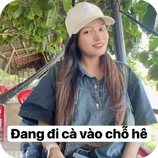 Sticker from Vi báo