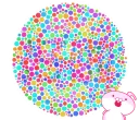 🤓 emoji 你有色盲的問題嗎? Telegram sticker 21 of 40