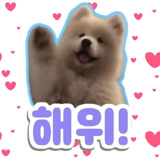 Sticker from 🐶강아지단🐶