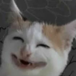 😄 emoji cats Telegram sticker 20 of 120