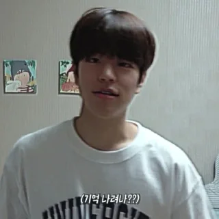 🎲 emoji kim seungmin 🐶 @skzstiker Telegram sticker 15 of 80