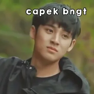 Sticker from Meme Seventeen