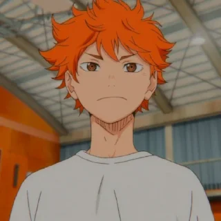 Sticker from Hinata Shoyo @sticker_anime_boy