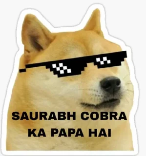 Sticker from DOGLO KI PELAI