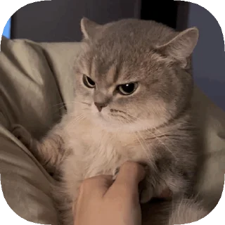 ☹️ emoji 𝙊𝙥𝙨 ! 𝙈𝙮 𝙎𝙩𝙞𝙘𝙠𝙚𝙧 : 𝘼𝙡𝙥𝙝𝙖 Telegram sticker 22 of 50