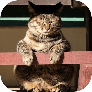 😑 emoji 𝙊𝙥𝙨 ! 𝙈𝙮 𝙎𝙩𝙞𝙘𝙠𝙚𝙧 : 𝘼𝙡𝙥𝙝𝙖 Telegram sticker 13 of 50
