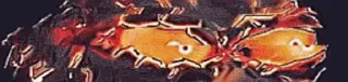 😂 emoji S H L O Kㅤ؛ًٍَُّْ𝅯𝅯۪ؒؒؒؒؒؒؒؒؒؒ's sticker kang pack Telegram sticker 12 of 21