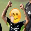 🖕 emoji Cricket Pack Telegram sticker 6 of 15