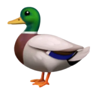 🐦 emoji Cricket Memes - @Criccollections Telegram sticker 17 of 82