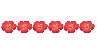 🌺 emoji @MyTelegramThemes ofc Telegram sticker 5 of 35