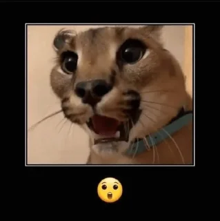 😮 emoji for hei from @emoIess Telegram sticker 16 of 101