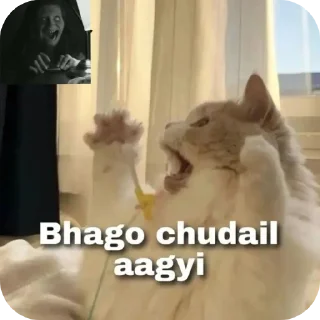 🤲 emoji Eren's stickers Telegram sticker 22 of 73