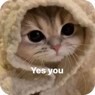🐱 emoji Eren's stickers Telegram sticker 24 of 73