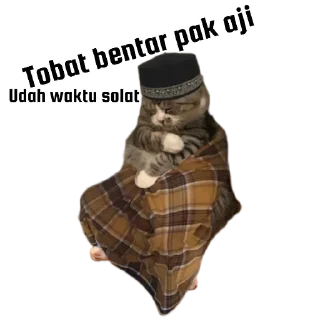 🕌 emoji Neko @stikerkyo Telegram sticker 5 of 106