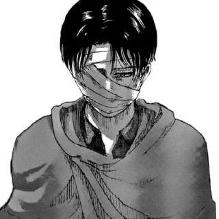 Sticker from Levi ackerman