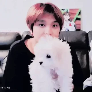 Sticker from HHAECHAN V.1 @leviosastory
