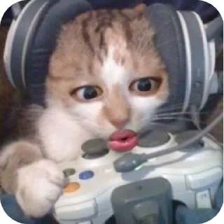 🐱 emoji lanlan imoet Telegram sticker 12 of 29