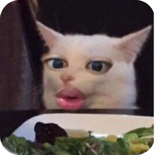 🐱 emoji lanlan imoet Telegram sticker 19 of 29