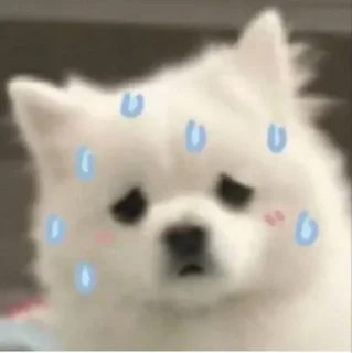 🌟 emoji punya vouu @Kemejav Telegram sticker 15 of 36