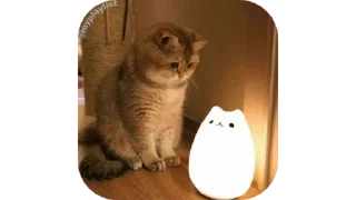 🐱 emoji ✗𖤍 𝑴𝒊𝒏𝒊𓂁 🐣 :: @bitch_uh Telegram sticker 8 of 115