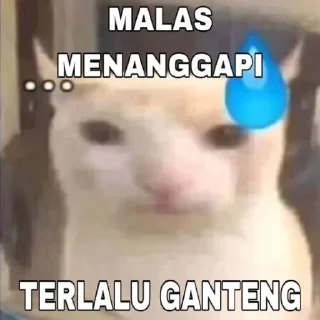 Sticker from acaaa