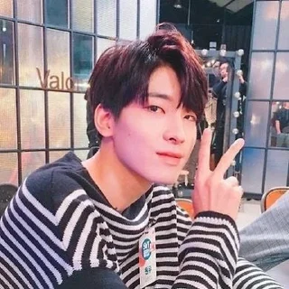 🍳 emoji ` wonwoo unfilt  —  @asteringall  🌻 Telegram sticker 17 of 27