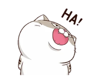 🐱 emoji Annoying Cat by @taerastickers Telegram sticker 1 of 11