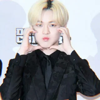 🐬 emoji soft chenle @stickernct Telegram sticker 18 of 20