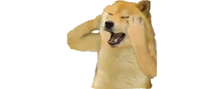 🙄 emoji ʜ ᴇ ʀ ᴏ x 〘🇮🇳〙s kang pack Telegram sticker 4 of 68