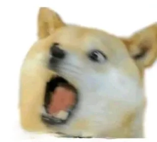 🐶 emoji Cʜᴇᴇᴍs ➪ @Mellifuous_00 Telegram sticker 6 of 85