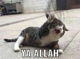 😂 emoji @luvsaturnn ; jangan lupa sholat Telegram sticker 21 of 28