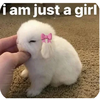 Sticker from Bunny buns🐰