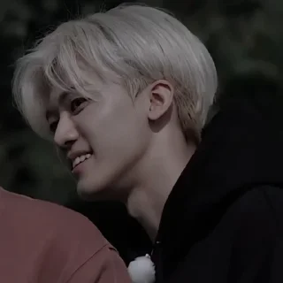 📃 emoji Na Jaemin Telegram sticker 19 of 50