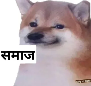 😐 emoji saif's kanged pack (1) Telegram sticker 3 of 42